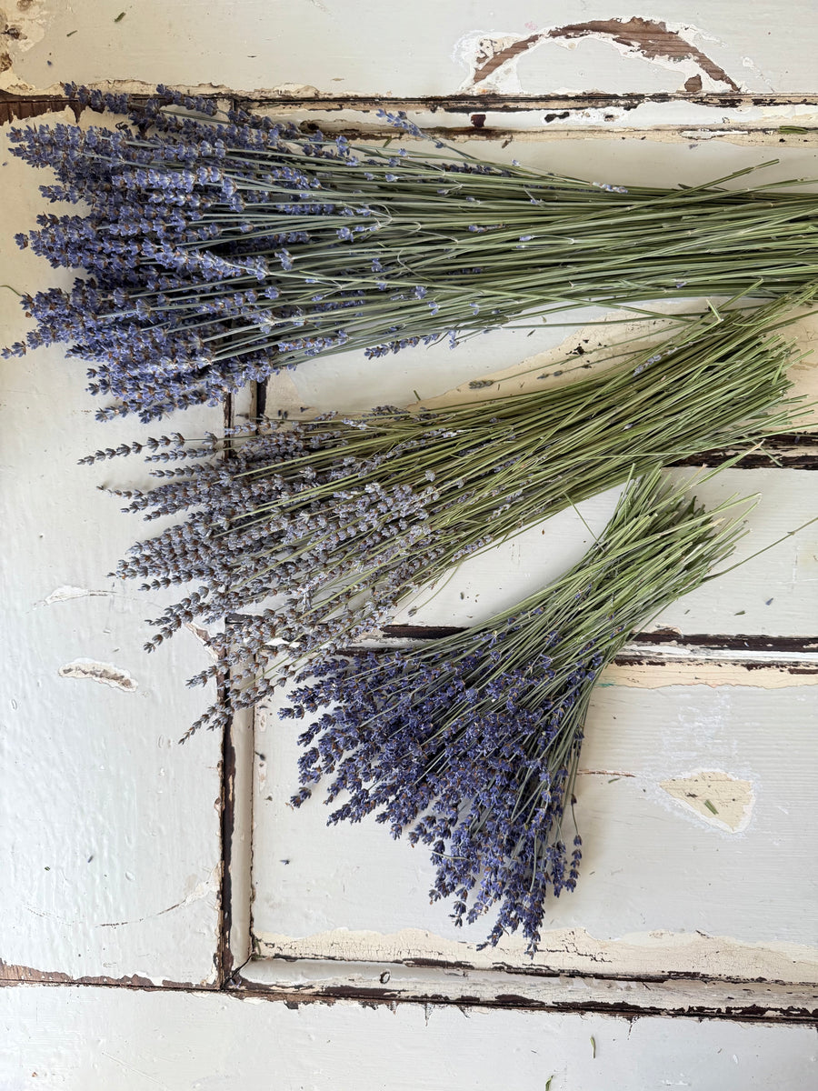 Naturally Dried Lavender bunch - blue purple