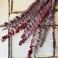 直销店 &amp; 样品 [花茎 / 绿叶]