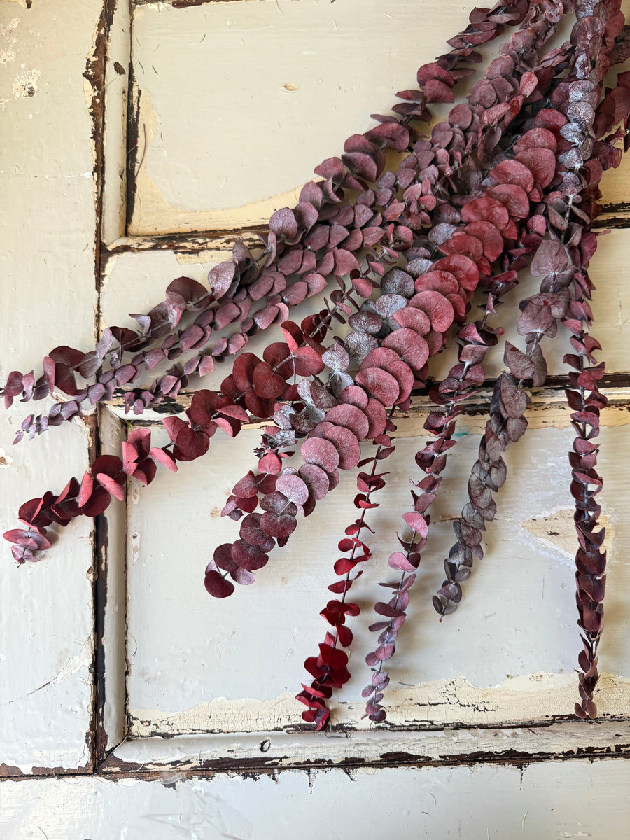 直销店 & 样品 [花茎 / 绿叶]