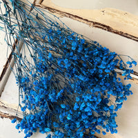 Preserved Baby's Breath
