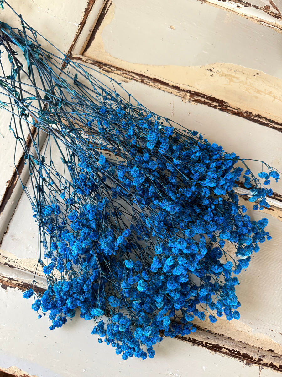Preserved Baby's Breath