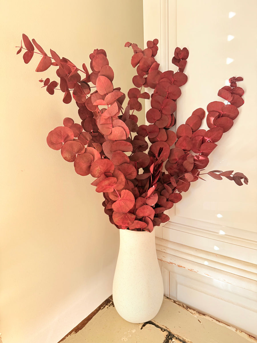 Preserved Eucalyptus / Gum