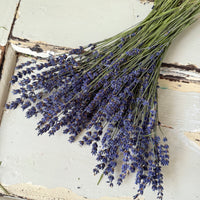 Naturally Dried Lavender bunch - blue purple