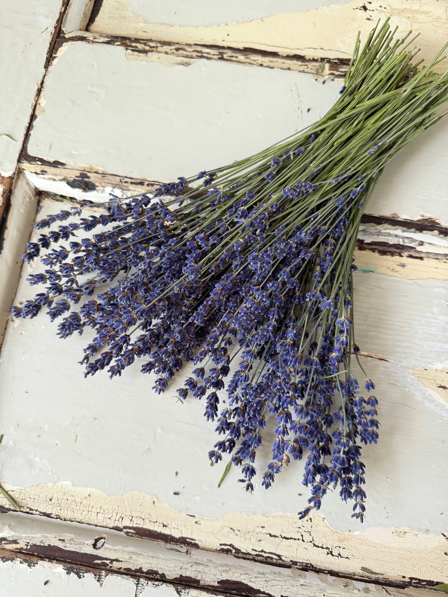 Naturally Dried Lavender bunch - blue purple