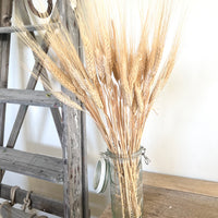 Naturally Dried Wheat