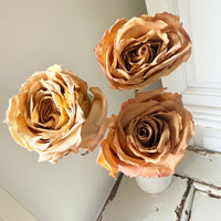 Dried Rose