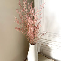 Soft / Vivid Hue Preserved Limonium | Misty | Sea Lavender