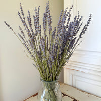 Naturally Dried Lavender bunch - blue purple