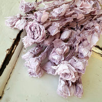 　[Colourful] Outlet & Samples