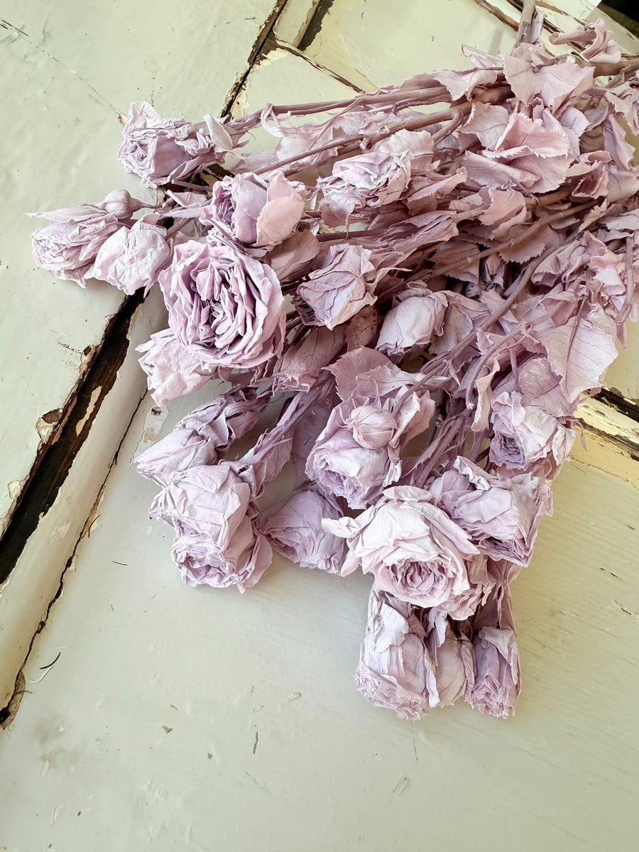 　[Colourful] Outlet & Samples