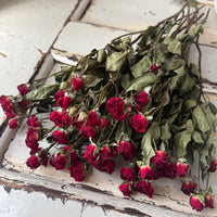 Dried Spray Mini Rose