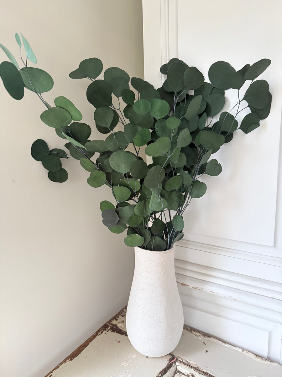 Preserved Eucalyptus / Gum