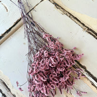 Preserved Crystal Grass / Caspea