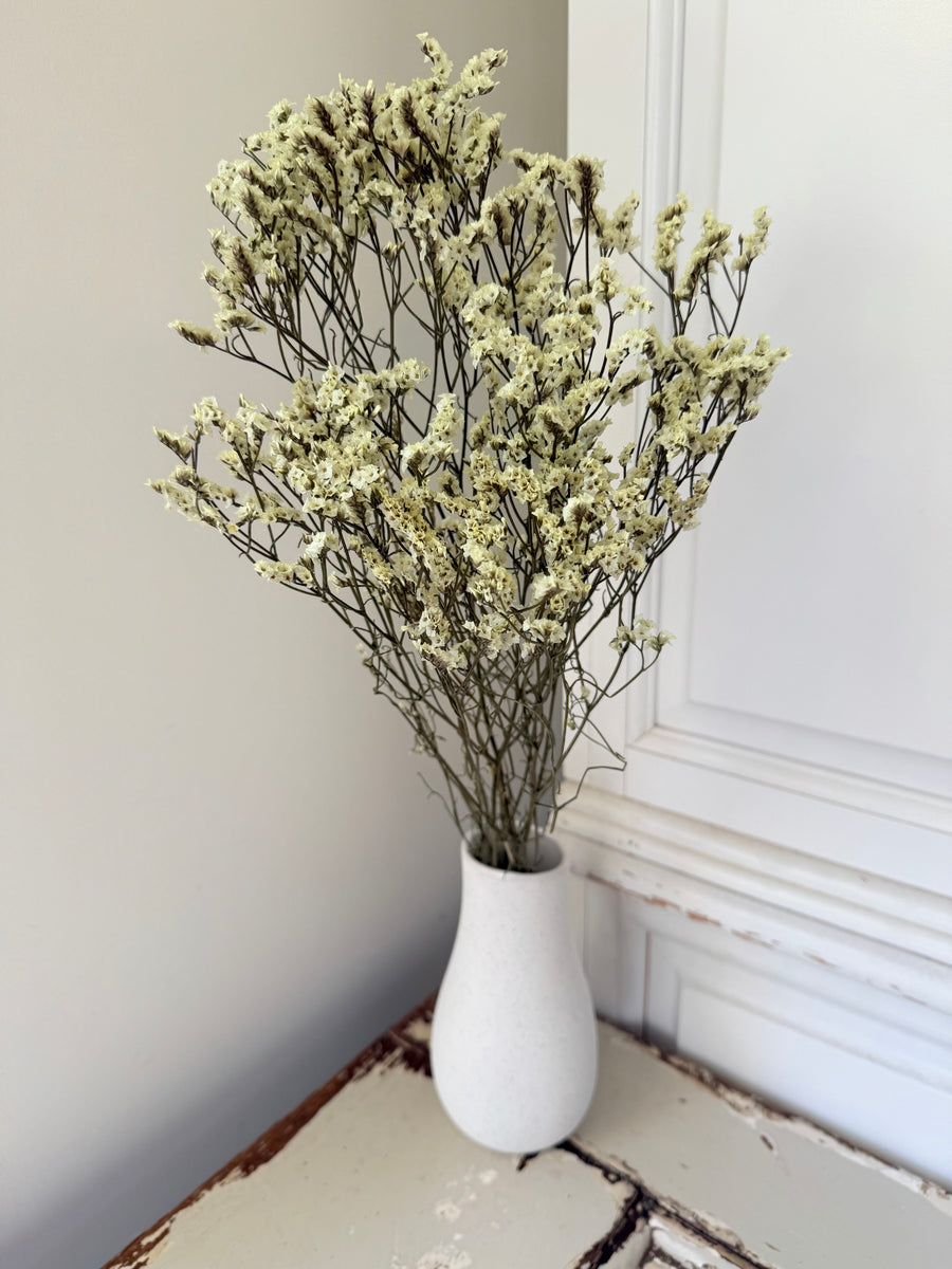 Preserved Crystal Grass / Caspea