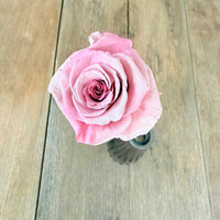 自然干燥玫瑰