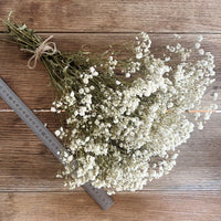 Everlasting Preserved Baby's Breath Bouquet [Mini/SM/ML]