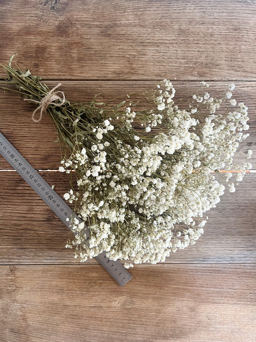 Everlasting Preserved Baby's Breath Bouquet [Mini/SM/ML]