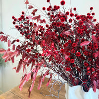 [VIC - Pickup / Local Delivery Only / 2 weekdays] Scarlet Blessing in Alisa Vase Arrangement [ML]