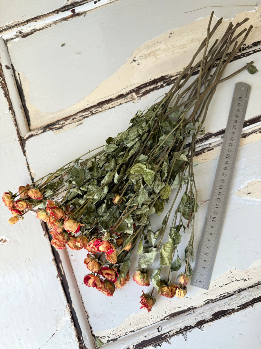 Naturally Dried Rose