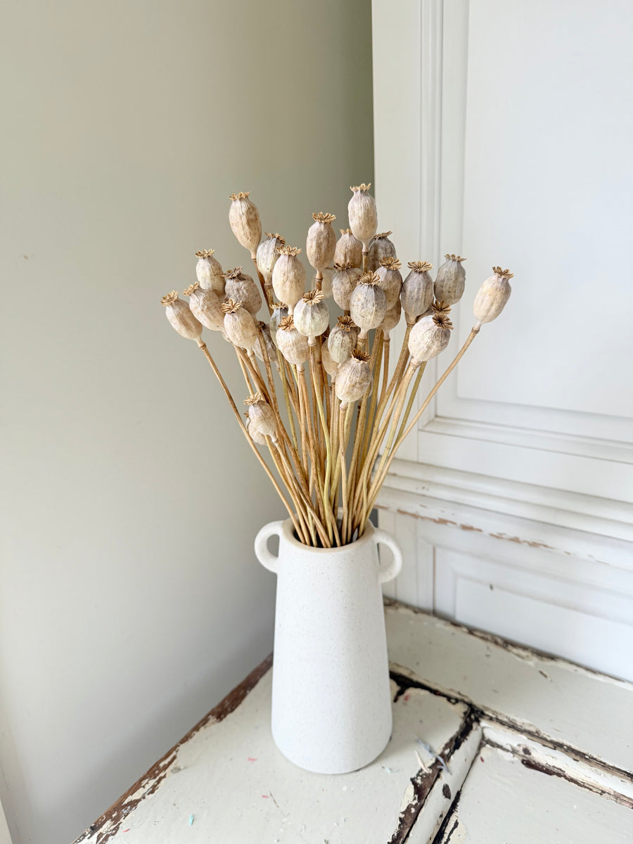 Naturally Dried Poppy Pods* / Papaver - natural brown