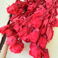 　[Colourful] Outlet & Samples