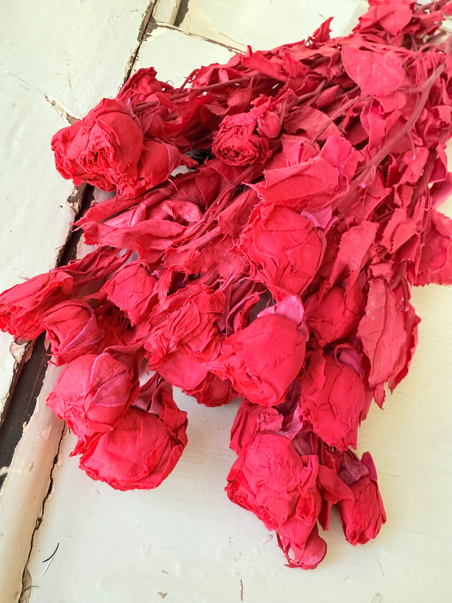 　[Colourful] Outlet & Samples