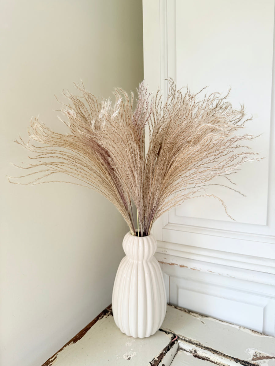 Naturally Dried Reed Canary Grass / Mischanthus Grass / Mini Pampas Grass