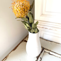 Naturally Dried Banksia & King Protea & Protea - Australian Native