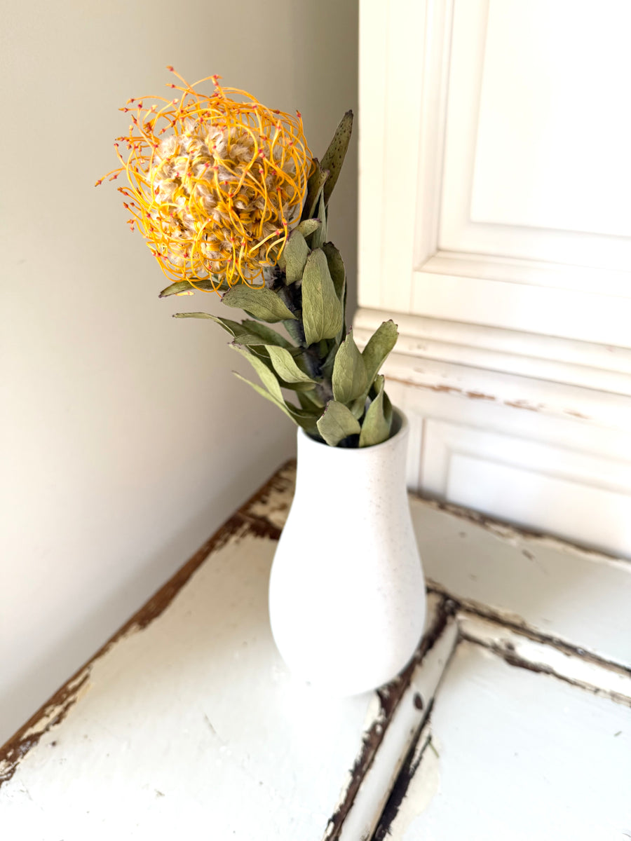 Naturally Dried Banksia & King Protea & Protea - Australian Native