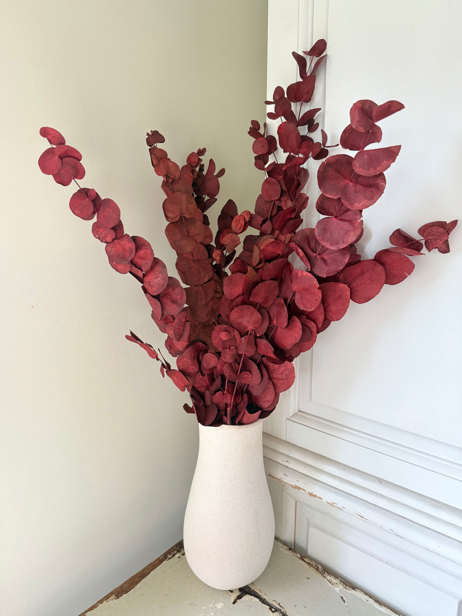 Preserved Eucalyptus / Gum
