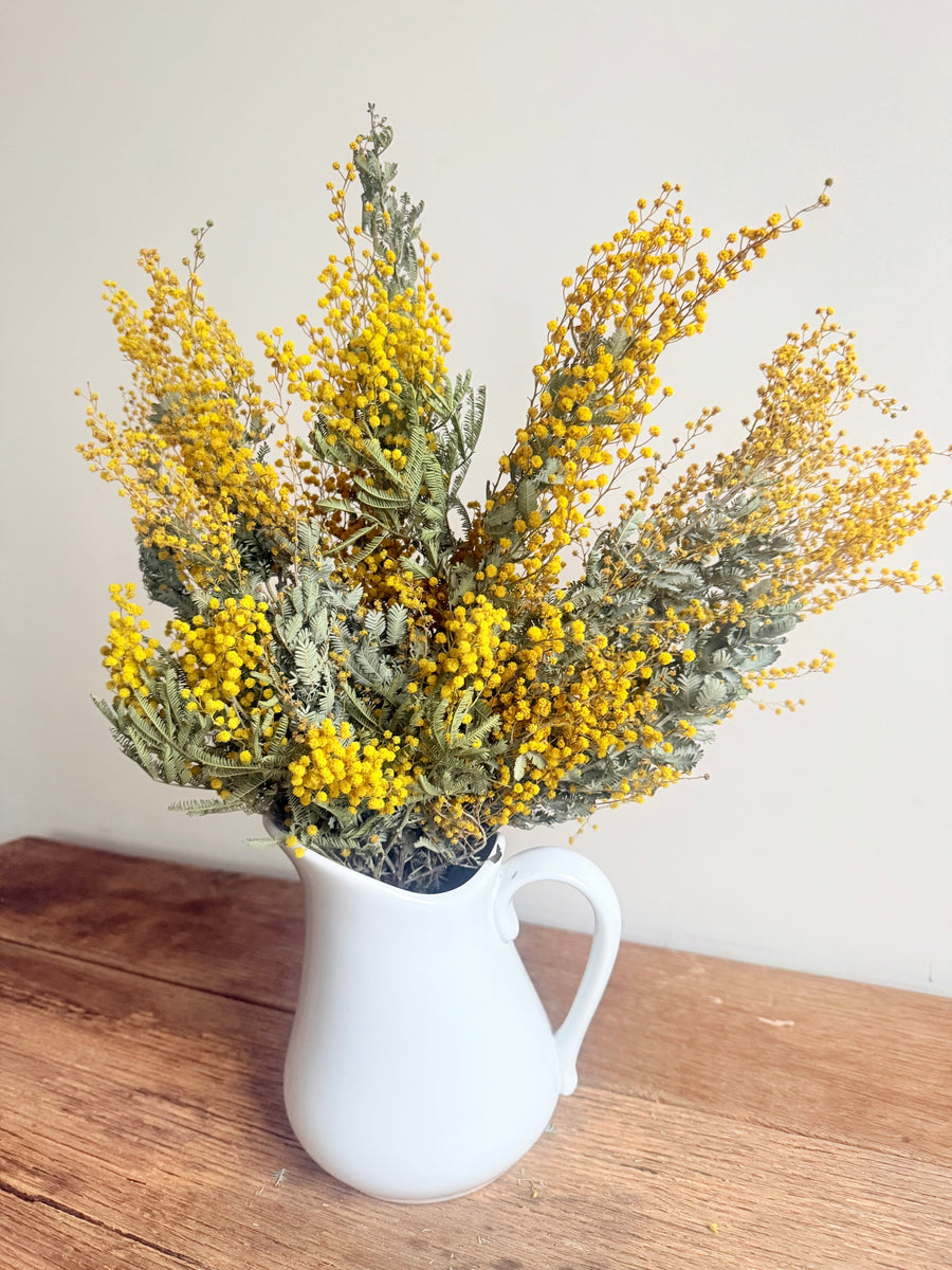 Naturally Dried Wattle / Mimosa Bouquet [SM] yellow