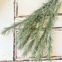 Naturally Dried Emu Grass - natural dusty green