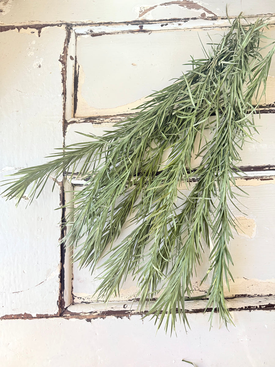 Naturally Dried Emu Grass - natural dusty green