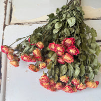 Naturally Dried Spray Rose