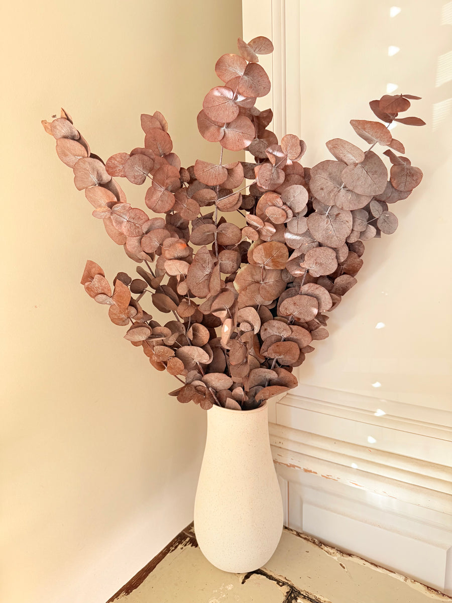 Preserved Eucalyptus / Gum