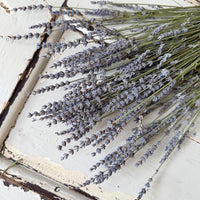 Naturally Dried Lavender bunch - blue purple