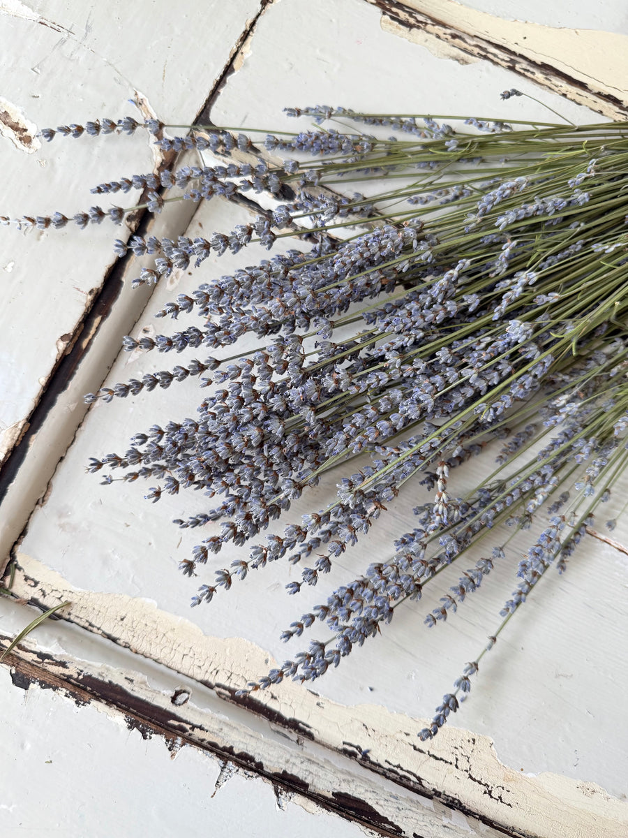 Naturally Dried Lavender bunch - blue purple