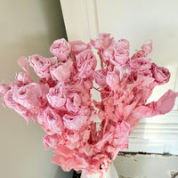 　[Colourful] Outlet & Samples