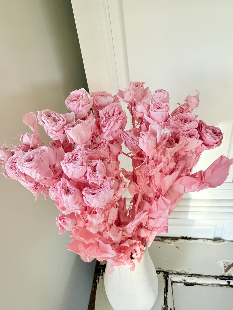 　[Colourful] Outlet & Samples