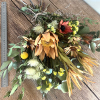 Leucadendron Sunshine Bouquet [Mini/SM/M] native