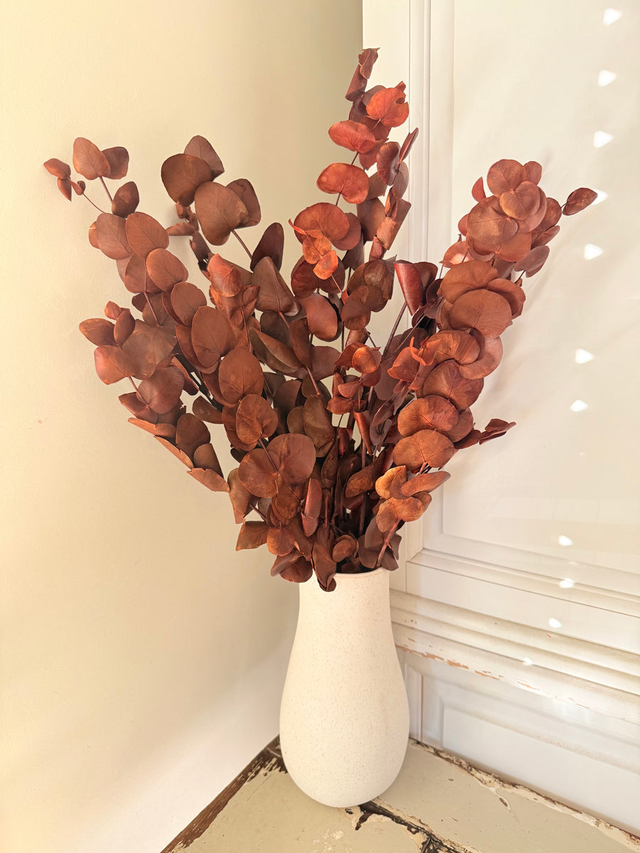 Preserved Eucalyptus / Gum