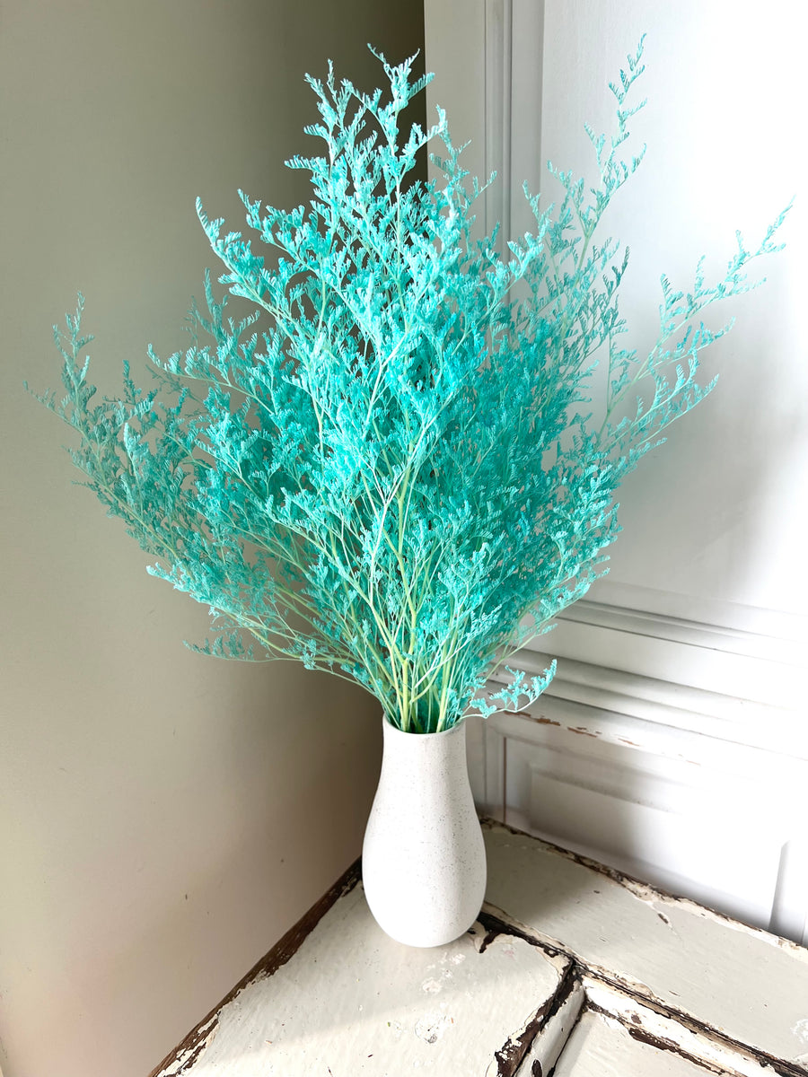 Soft / Vivid Hue Preserved Limonium | Misty | Sea Lavender