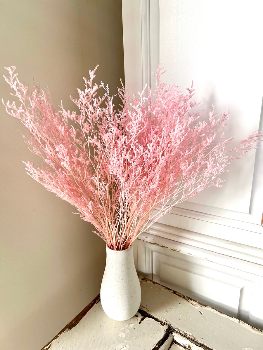 柔和 / 鲜艳色调 保存的补血草 | 薄雾 | 海薰衣草