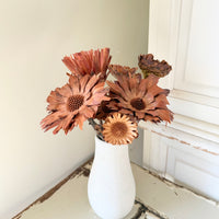 Dried Protea Repens