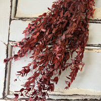 直销店 &amp; 样品 [花茎 / 绿叶]