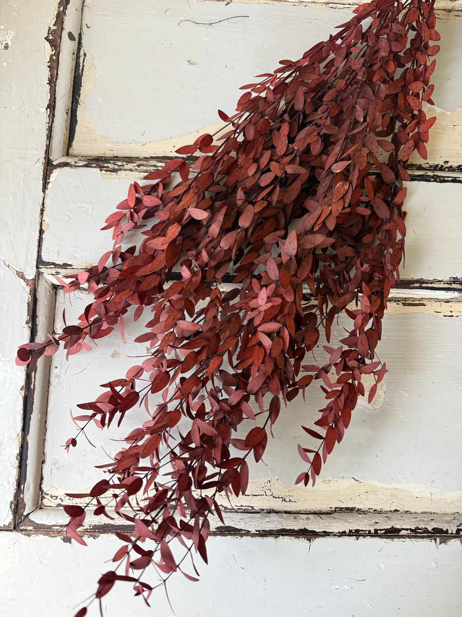 直销店 & 样品 [花茎 / 绿叶]