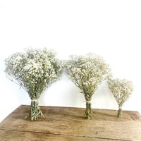 Everlasting Preserved Baby's Breath Bouquet [Mini/SM/ML]