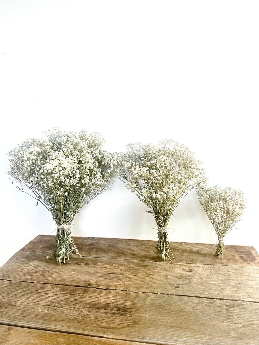 Everlasting Preserved Baby's Breath Bouquet [Mini/SM/ML]