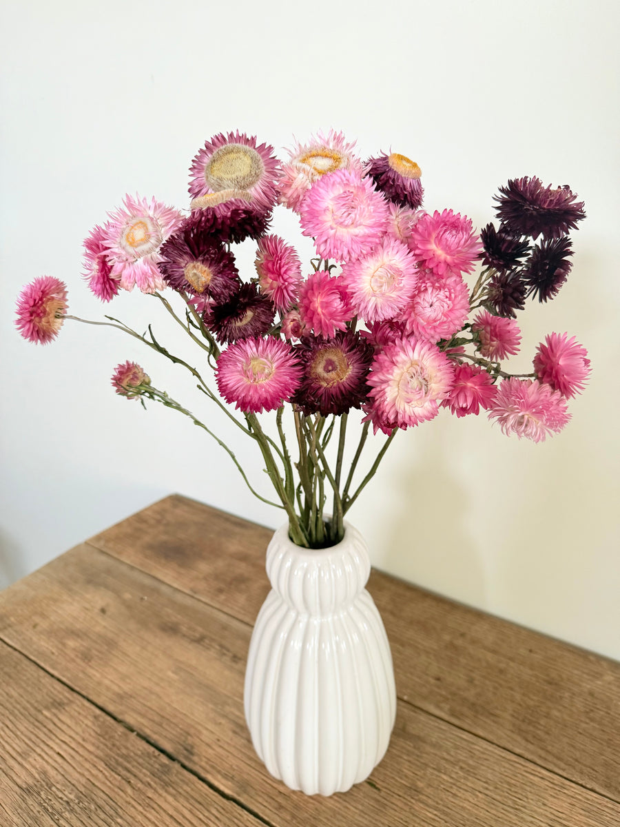 Naturally Dried Helichrysum - Everlasting / Paper Daisy / Strawflower - stems / heads