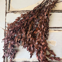 直销店 &amp; 样品 [花茎 / 绿叶]